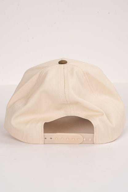 Greenville South Carolina Color Block Hat