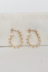 Alyssa Gold Teardrop Hoop Earrings